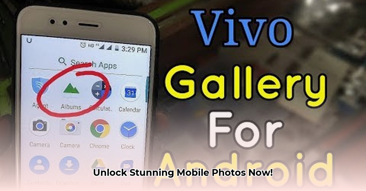 download-vivo-gallery-apk